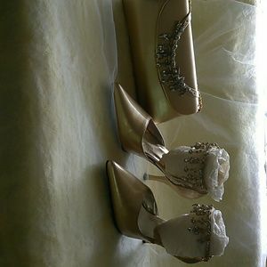 Dazzle Pump & Matching Purse